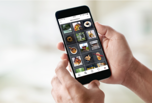 Études de cas AJINOMOTO