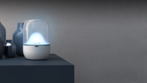 Études de cas terraillon