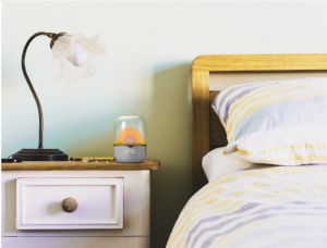 Études de cas terraillon