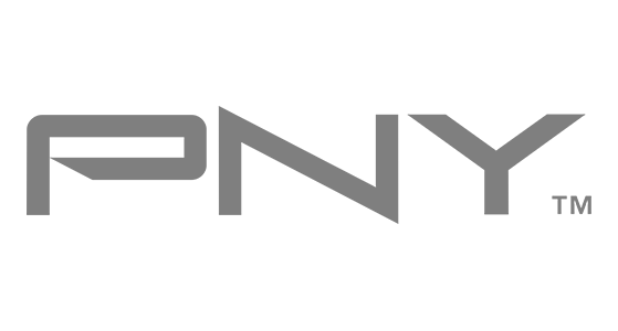 Logo PNY